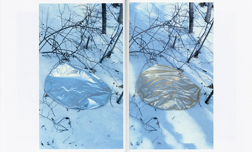 Cosmic Wonder Free Press – Sunday Edition