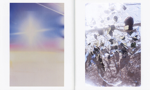 Cosmic Wonder Free Press – Sunday Edition