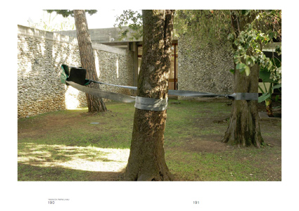 Not to Play with Dead Things