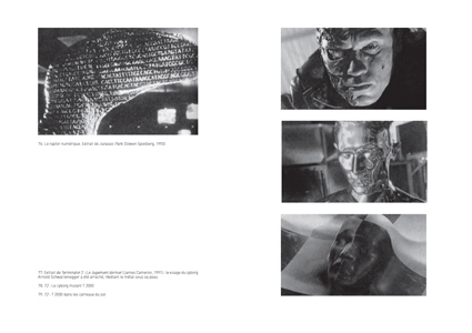 Que veulent les images ?