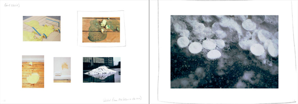 It's Proof That Counts