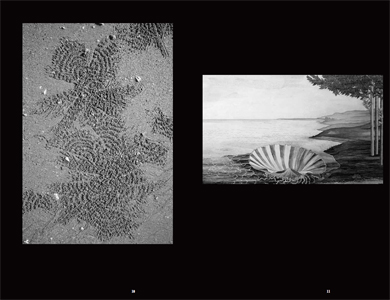 Le Travail de rivière