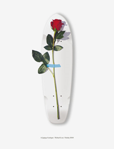 Michael Leon - A Curious Catalogue