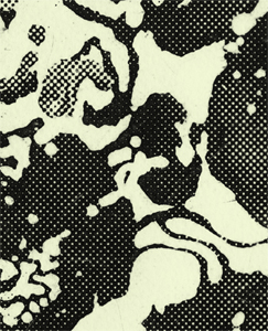  Ida Tursic & Wilfried Mille - Decade - Edition de tête