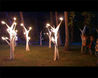 Documents & œuvres vidéo (DVD)