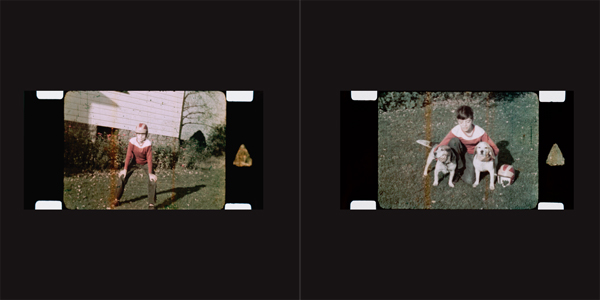 Forests, Gardens and Joe's