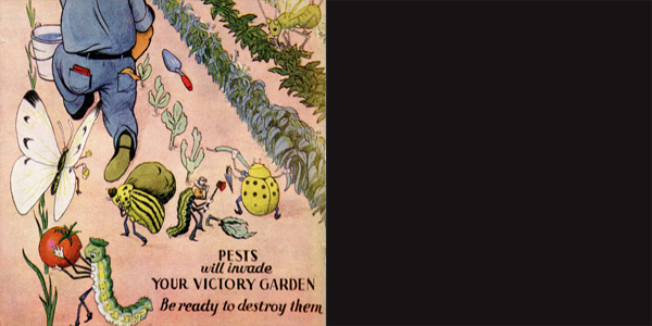 Forests, Gardens and Joe's