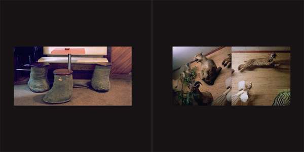 Forests, Gardens and Joe's