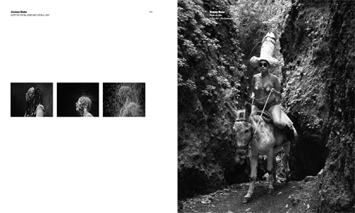 11e Biennale d'art contemporain de Lyon