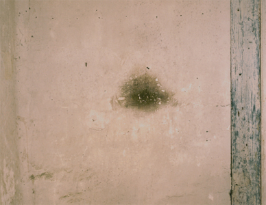 Jeanne Gailhoustet - 