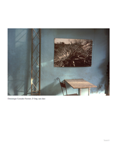 Intempestif, Indépendant, Fragile