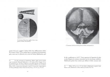 Les fenêtres de la monade