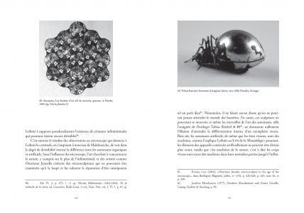 Les fenêtres de la monade