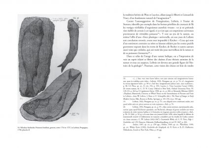 Les fenêtres de la monade