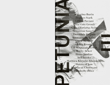 Conversation avec Lili Reynaud-Dewar, avant Ceci est ma maison, Magasin, Grenoble, 2012