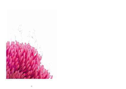 Les escargots ridiculisés