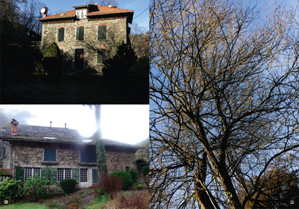 Le Musée des Muses Amusées (MMAM) Imperium Asinum Magnificum (IAM) selon la Poésie Totalement Totale (PTT) (+ CD / DVD)