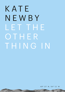 Kate Newby - Let the other thing in