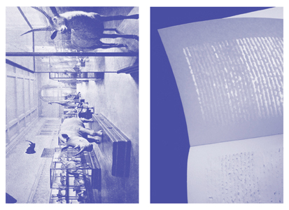 Le Tamis et le sable