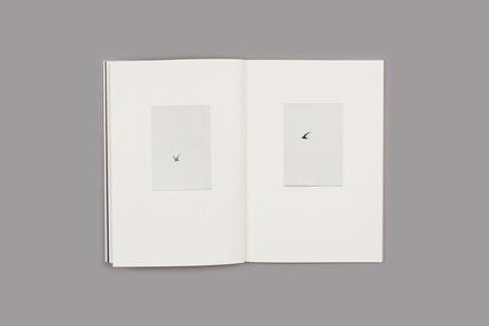 Des savoirs bouleversés