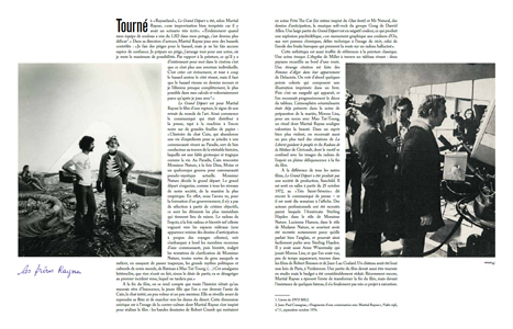 Cinéma Martial Raysse