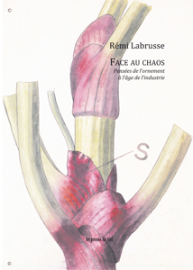 Rémi Labrusse - Face au chaos - Pensées de l\'ornement à l\'âge de l\'industrie