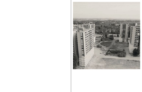 Various Small Sparks (and Rodeo)