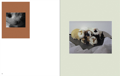 The Enjoyment of Photography