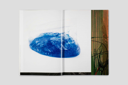 I know it's a zebra when i see stripes