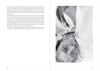 Sigmar Polke et les esprits supérieurs