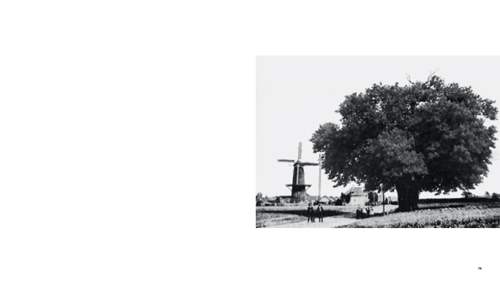 Shadow Pieces (David Claerbout)