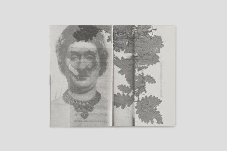 Grand Hotel et des Palmes