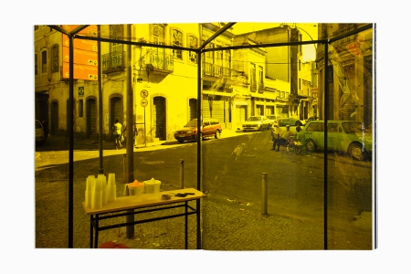 Animal That Doesn't Exist