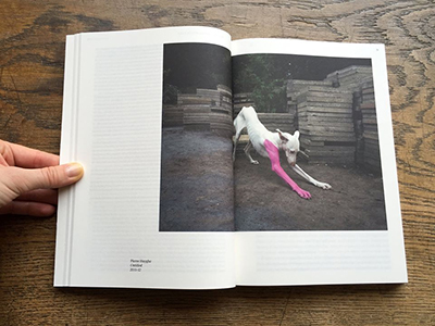 Toward an Aesthetics of Living Beings / Zu einer Ästhetik des Lebendigen