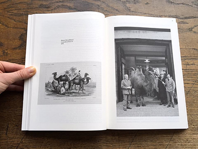 Toward an Aesthetics of Living Beings / Zu einer Ästhetik des Lebendigen