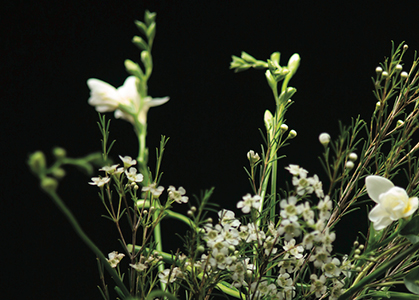 Disorientation – Bernard Rudofsky in the Empire of Signs