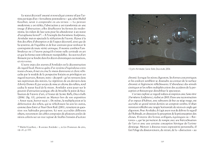 Les vertiges du miroir dans l'art contemporain