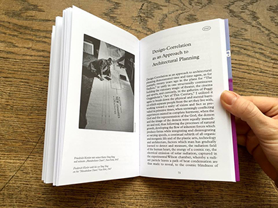 Function Follows Vision, Vision Follows Reality