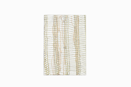 The tiny pliable plane (coffret)