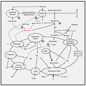 Matt Carlson - The View From Nowhere (vinyl LP)
