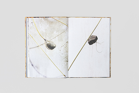 Space Shuttle in the Garden