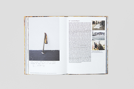 Space Shuttle in the Garden