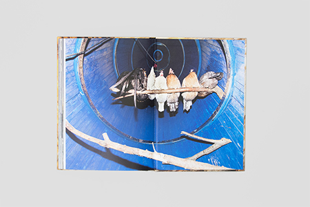 Space Shuttle in the Garden