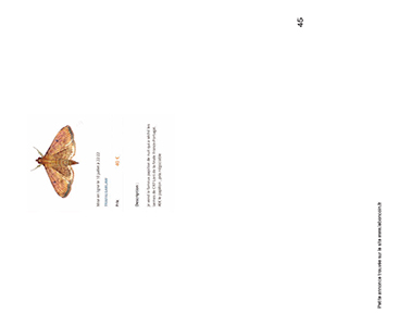 De la prise de parole sensible à la stratégie de communication médiatique en situation de crise