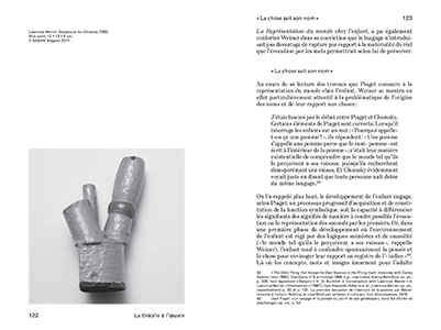 La théorie à l'œuvre