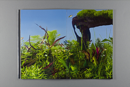 Appetite for the Magnificent