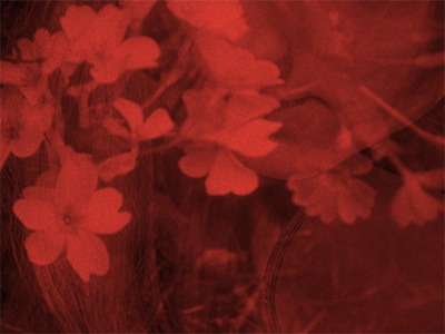 A Personal Sonic Geology