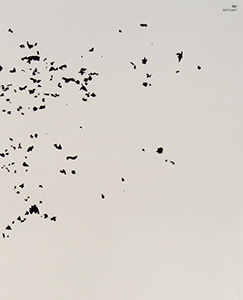 Benoît Fougeirol - (ZUS)