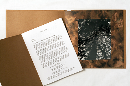 Capitol Complex / Ulterior Vistas (livre + vinyl LP)