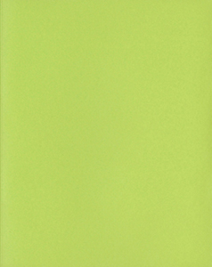 Armando Andrade Tudela - Nine Images of the Glass House and One Portrait